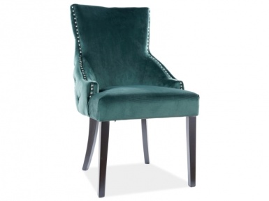 Design Plus Studio Kuchni & Salon Meblowy | SignalMeble 