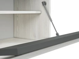 Design Plus Studio Kuchni & Salon Meblowy | Hyga 02 sosna śnieżna/antracyt-szafka | 
