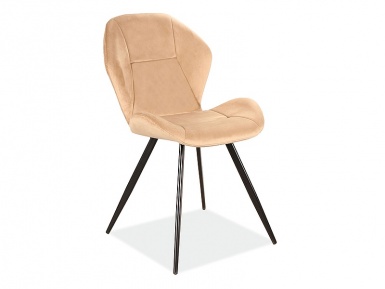 Design Plus Studio Kuchni & Salon Meblowy | SignalMeble 