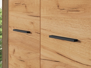 Design Plus Studio Kuchni & Salon Meblowy | URSO 03 craft złoty/czarny - szafa 2D | 
