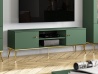 Design Plus Studio Kuchni & Salon Meblowy | Forest 05 labrador - szafka RTV 2D | 