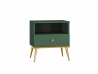 Design Plus Studio Kuchni & Salon Meblowy | Forest 06 labrador - szafka nocna 1S | 