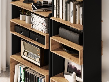Design Plus Studio Kuchni & Salon Meblowy | TRIS 02 dąb artisan/czarny - regał | 