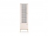 Design Plus Studio Kuchni & Salon Meblowy | Selgin 01 cashmere - witryna 2D | 