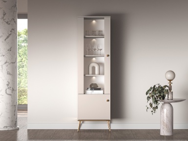 Design Plus Studio Kuchni & Salon Meblowy | Selgin 01 cashmere - witryna 2D | 