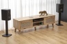 Design Plus Studio Kuchni & Salon Meblowy | BORNEO RTV-1 stolik RTV dąb artisan/czarny (1p1szt) | 2010001194187