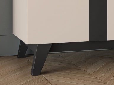 Design Plus Studio Kuchni & Salon Meblowy | Freshion 01 cashmere/czarny - szafa 2D | 