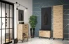 Design Plus Studio Kuchni & Salon Meblowy | Nevio 05 Dąb artisan - szafka na buty | 
