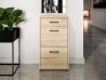 Design Plus Studio Kuchni & Salon Meblowy | Caro 09 Sonoma jasna - szafka na buty | 