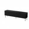 Design Plus Studio Kuchni & Salon Meblowy | JUNGLE RTV czarny mat/ czarny mat | 2010001193661